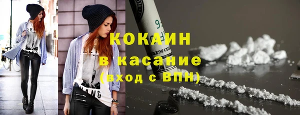 ГАЛЛЮЦИНОГЕННЫЕ ГРИБЫ Тайга