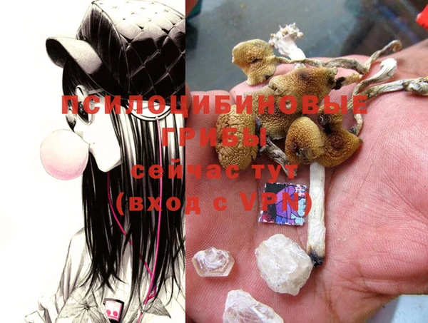 бошки Строитель