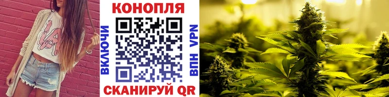 Конопля AK-47  Купить где  Курган 